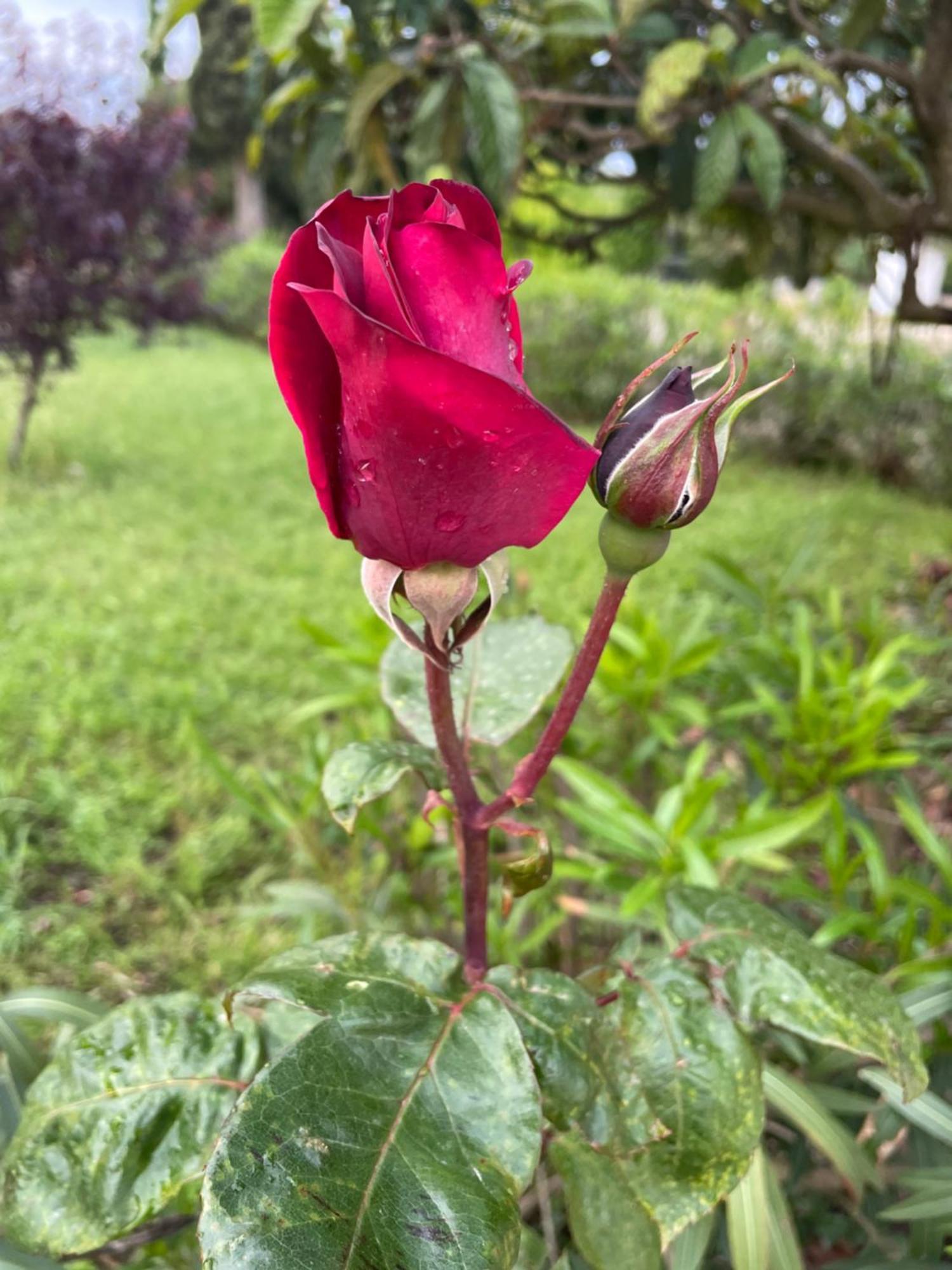 La Dimora Gigante Bed & Breakfast Castellana Grotte Bagian luar foto